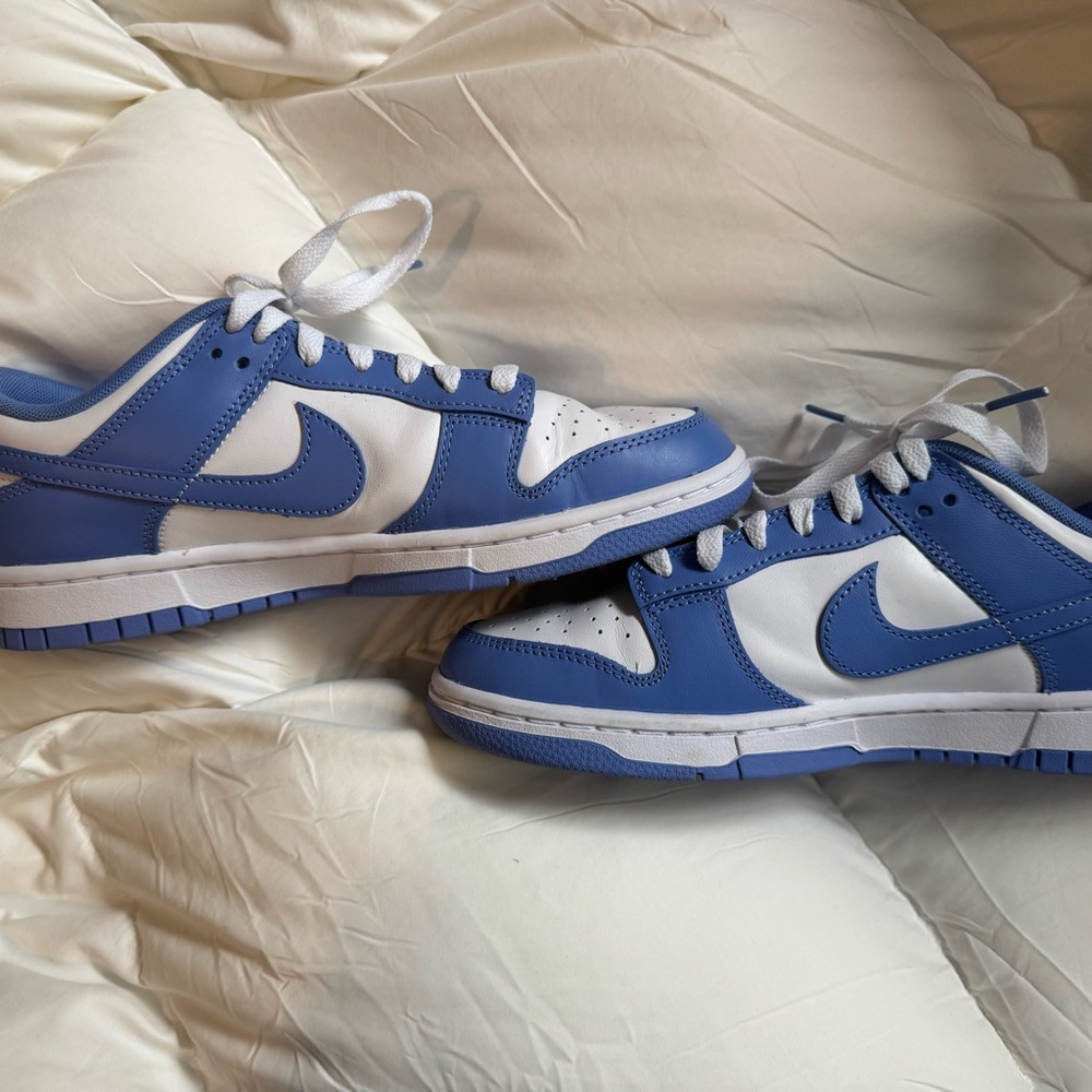 Nike dunks